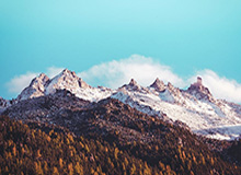 开云体育官网：让热爱赛场的人与胜负更近一步